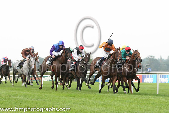 01 Baraweez and C O'Conoghue - - 01st (12 ,orange, dark blue disc ) Trainer - B Ellison