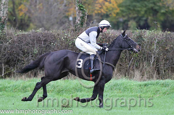 10 Ballycamp & Derek O'Connor - PU (3, black and white qtrd) - FT8E9345-12