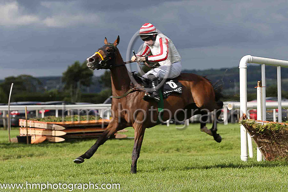 01st Dodgybingo  Sean Flanagan (6,white, red striped sleeves), trainer Noel Meade