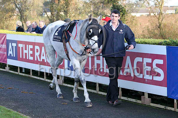Tomdeely - 5th, Jockey T J Doyle - FT8E7153-e