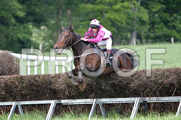 Fourth Race - Lustani Winner, Rider T D Geoghen- CU2D9625-e