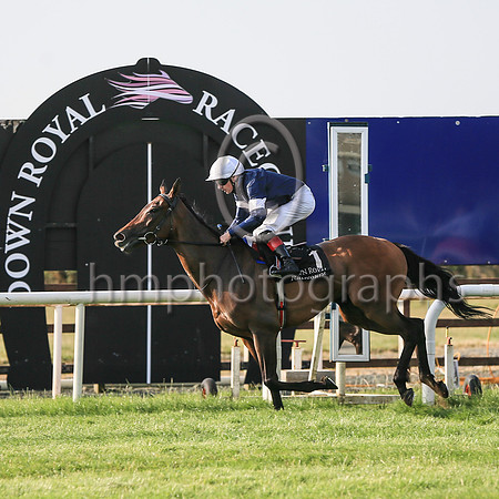01st Master of Reality and Declan McDonogh (1, dark blue, white armlets) winners Her Majesty's Plate (Listed Race) at Down Royal on Friday 23rd July 2021