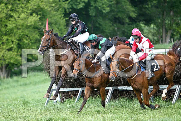 Fourth Race - High Chief (8) Pu, rider Ms O'Neill,St Matthew (14) 4th, Rider J J Smith , Uasaka (2) 7th, Rider Derek O'Connor- CU2D9604-e