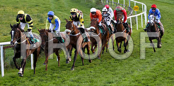 Henry The First, 3rd , Jockey - Mr J T Carroll in the lead - FT8E3259-e