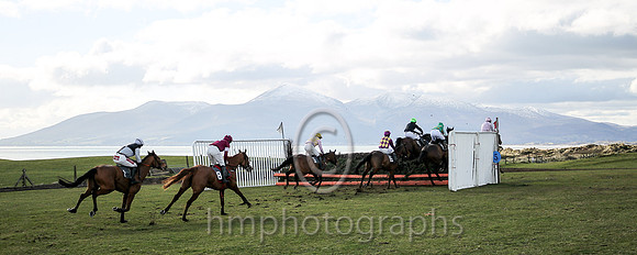 Point to Point Racing at Tyrella with the snow capped Mounne Mountains in the background