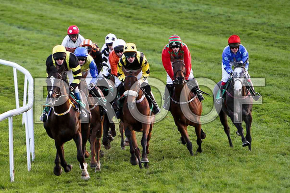 Henry The First, 3rd , Jockey - Mr J T Carroll in the lead - FT8E3254-e