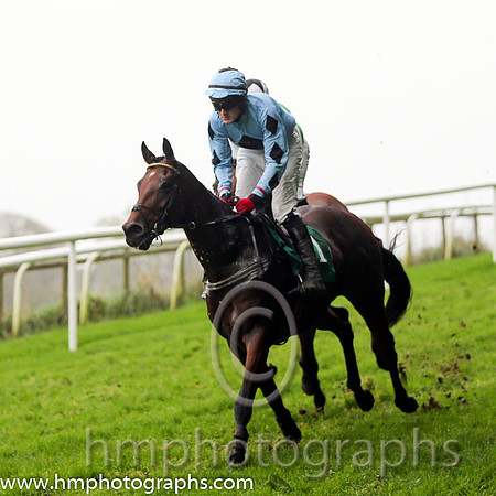 03 Darwins Theory and G N Fox - - 03rd (1 ,Light blue, dark blue diamond ) Trainer - J Queally