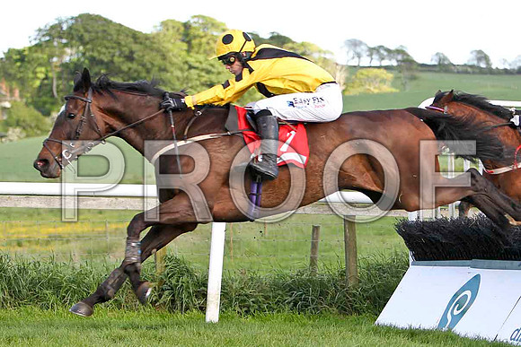 Valiquest , 7th, Jockey Andrew J McNamara -FT8E3001-e2
