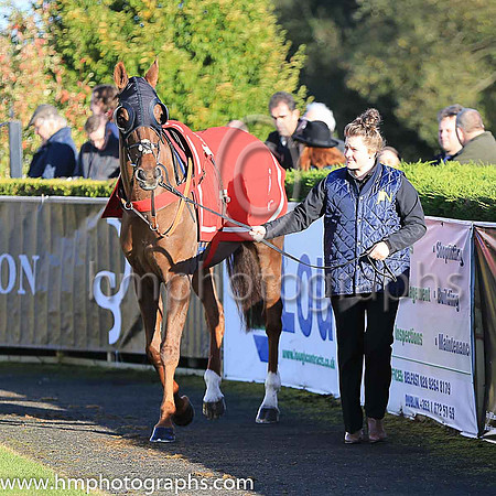 02nd Silviniaco Conti and N D Fehily ( 5 , pink,large purple spots ) Trainer - P F Nicholls , Owner - Chris Giles  Potensis Bloodstock Ltd