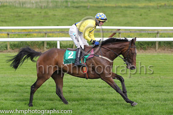 02 Well Tuned & J J Burke - 2nd (2,yellow, blue diagonal ) - FT8E7469-15