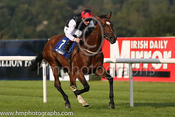 01 Free Eagle and P J Smullen - - 01st (7 ,black, white sleeves, red cap black star ) Trainer - D K Weld