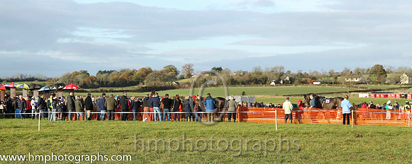 Iveagh Foxhounds Point to Point at Bell's Hill, Maralin - CU2D9469-78
