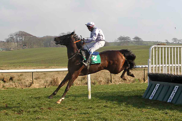 Miss Franklin - 4th, Jockey A P Cawley - CU2D3687-e