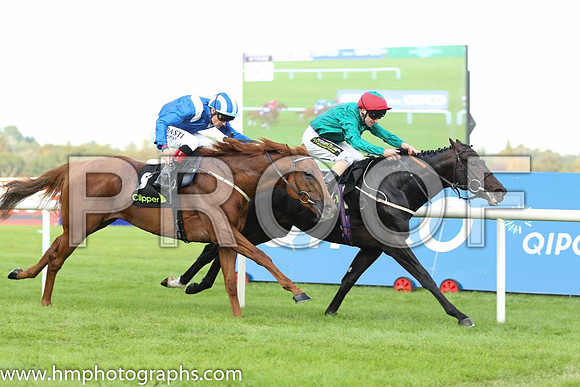 02 Mustajeeb and P J Smullen - - 02nd (8 ,royal blue, white epaulettes ) Trainer -   01 Bow Creek and J Fanning - - 01st (6 ,dark green, red cap ) Trainer - M Johnston