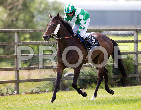 The Rossmeister (3), Jockey D M Grant 8th - FT8E1333-e3a4j