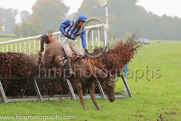 02nd PATRIOT'S PRAYER and J P O'Rourke ( 11 , ROYAL BLUE  WHITE STRIPES; royal blue sleeves; royal blue cap ) Trainer: Denis Paul Murphy,, Owner : Ger Flynn