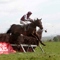 Super Day , Winner, Jockey - J J Codd -CU2D4587-e