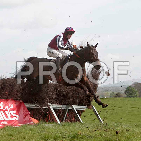 Super Day , Winner, Jockey - J J Codd -CU2D4587-e