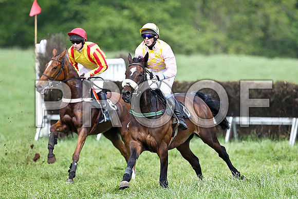 Fifth Race Div 1 - The Wee Girl (8) 2nd C McNally & Lady shirley (6) 3rd, Rider B G Crawford - FT8E0379-e
