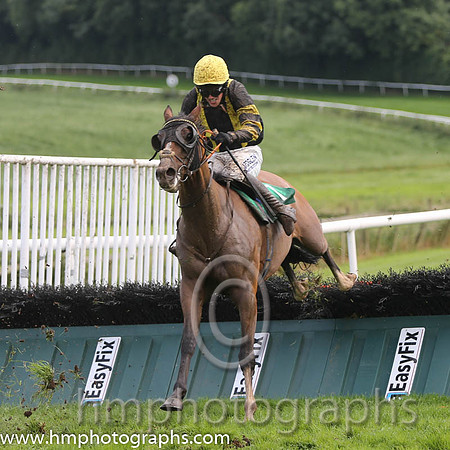 08 Josam & B Hayes - 8th (7, yellow. black panel) - AA1V0941
