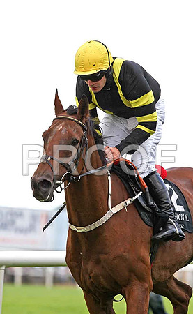 Pandim 9th, Jockey R C Colgan - FT8E3774-e2