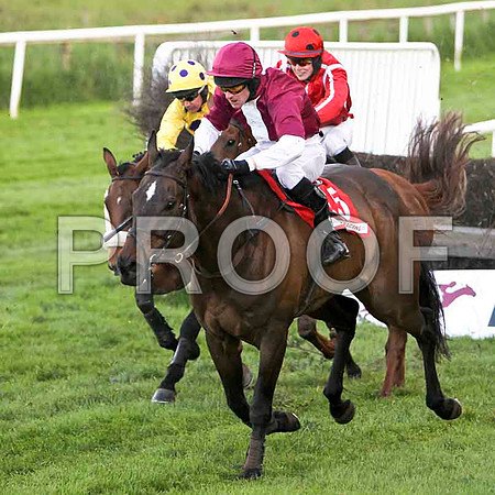 Metal Master, 5th, Jockey - L P Flynn -  FT8E3117-e