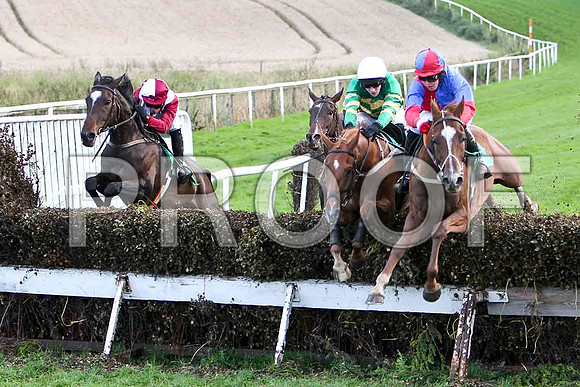Robertstown Rover - 2nd from left leads - winner, One Fime Morning - 4th & McSwynes Bay 3rd -   FT8E5043-e