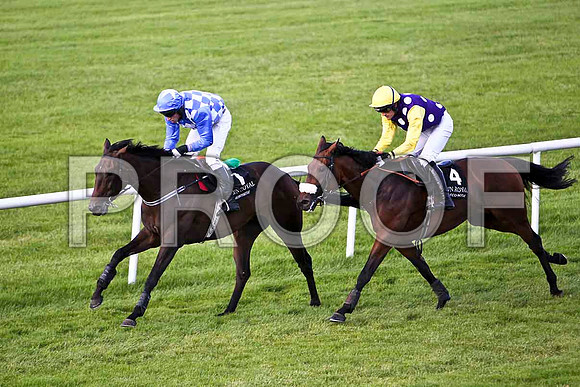 Baracas 2nd, Jockey E J O'Connell & Tijuana Dancer 3rd, Jockey Ruby Walsh - CU2D2035-e