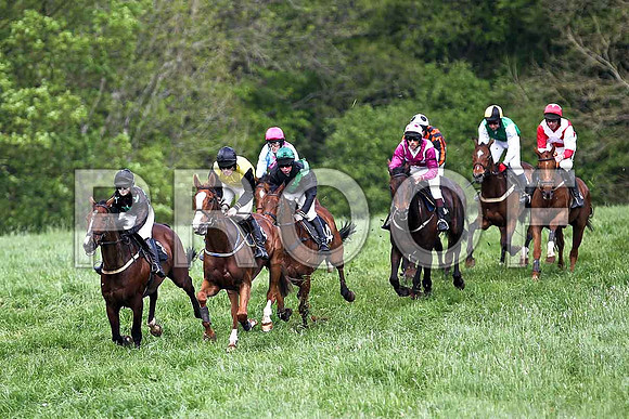 Fourth Race - High Chief (8) PU - in the lead, Rider Ms P O'Neill - FT8E0353-e