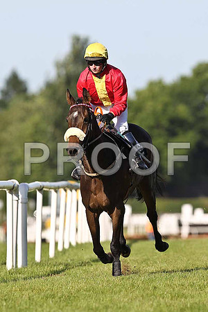 Regal Reform 15th Jockey D C Hogan - FT8E0948-e