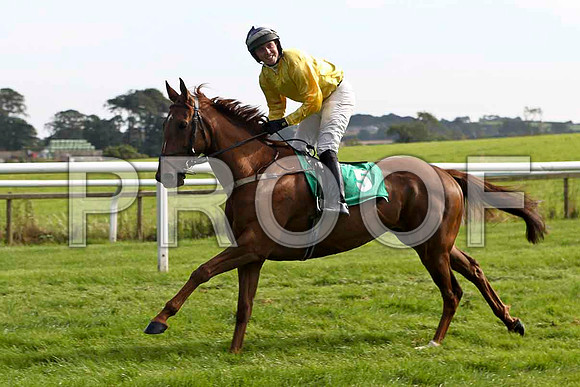 Finnegan express, 11th Jockey Mr J Creswell- FT8E3175-e