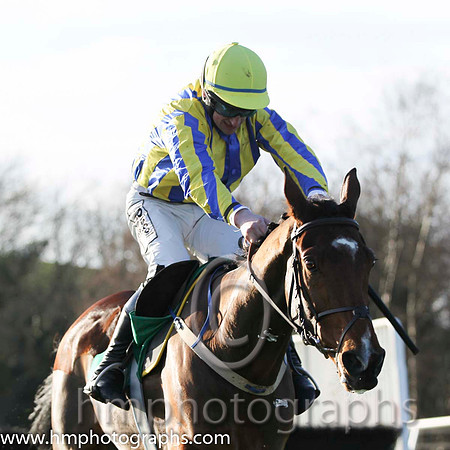 04 Beau Ballistic & R Loughran - 4th (1, royal blue and yellow stripes) - FT8E1171-51