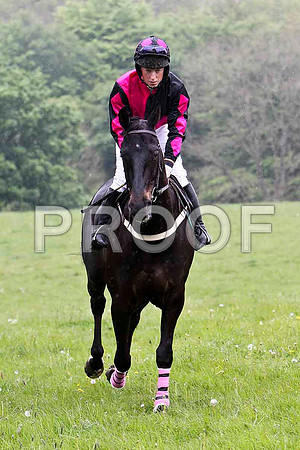 Dynamic Brook , PU, Jockey P J Cosgrove - FT8E2697-e