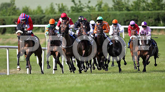 Simon Bolivar, Gonta Dowdies , Jeangorges , Man in Black , Breezed Wel, Black Rock Lane , Barndeh , Pax a Punch - FT8E1585-e