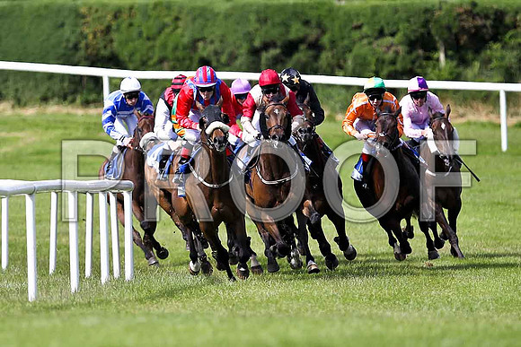 Sally Bawn , Academic Accolade , Winner, Gonta Dowdies , Simon Bolivar , Barndeh (Mauve hat visable) Jeangorges 2nd, Man in Black ,  Breezed Well , Pax a Punch - FT8E1582-e