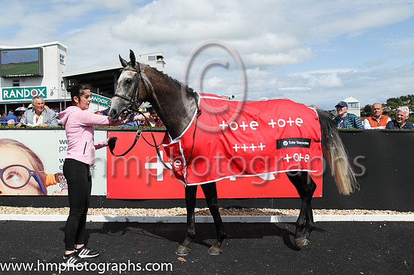 01st Dollar Value? (1 ,black ) Jockey: M M McDonagh(2) ,Trainer: T G McCourt