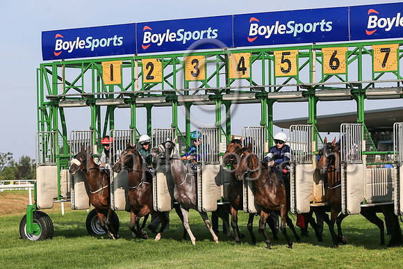 The start of Her Majesty's Plate (Listed Race) at Down ROyal on Friday 23rd July 2021