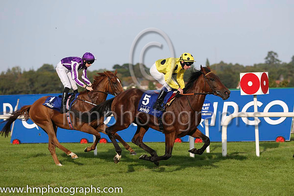 06 Hall of Mirrors and J P O'Brien - - 06th (1 ,purple, white seams ) Trainer - A P O'Brien  05 Qewy and D P McDonogh - - 05th (5 ,yellow, large black spots ) Trainer - J M Oxx
