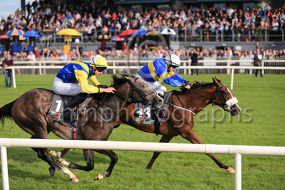 01st Lisard Lady  Wayne Lordan (13, royal blue, yellow hoop) Trainer Thomas Cooper, Owner Thomas Cooper