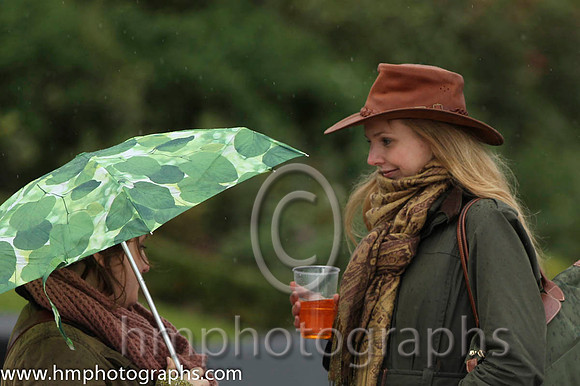 Spectators at Down Royal - FT8E0219-15