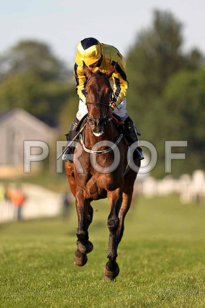 Battlehill 7th, Jockey M W Bowes- FT8E1141-e