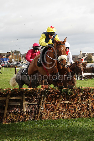 F The Storyteller and B J Geraghty ( 6 , blue, yellow star ) Trainer - G Elliott , Owner - Mrs P Sloan