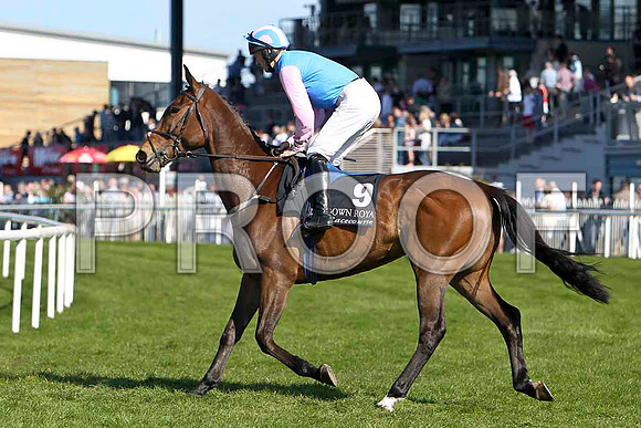 Woodgrange - 11th, Jockey Mr M J O'Hare - FT8E2243-e