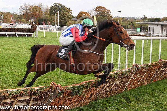 06th Miss Eyecatcher and P Townend ( 5 , blue and white stripes ) Trainer - R J McGrath , Owner - Connery Family Syndicate