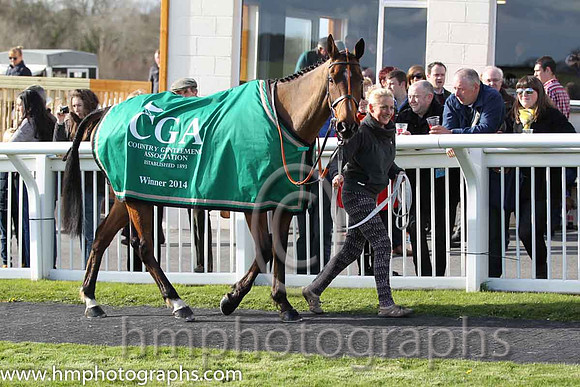 Tammys Hill - winner of the CGA Foxhunter Chase at Cheltenham - FT8E4338-13