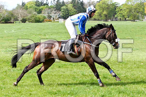 Mourne Paddy - Unplaced, Jockey J D Moore - FT8E2052-e