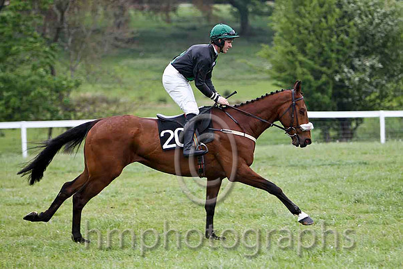 Witness for Paddy , PU, Jockey D A Fitzsimmons -  FT8E2327-e