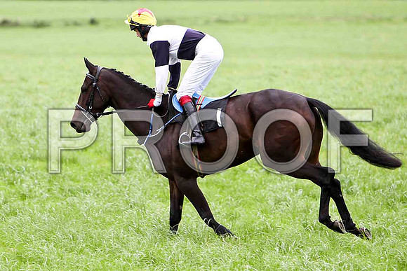 Ballyness - CU2D2517-e