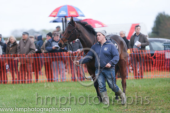 The parade ring at Loughanmore