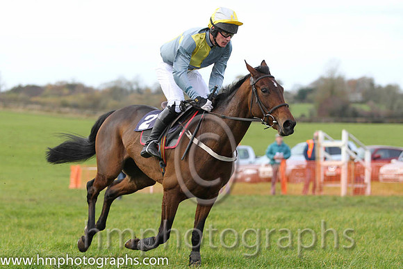 03 Honeyholm & G Yemm - 3rd (2, grey and yellow qtrd) - FT8E0686-6